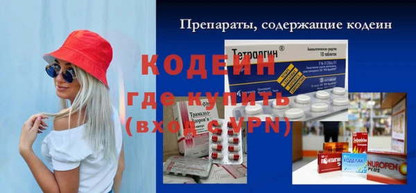 тгк Пересвет