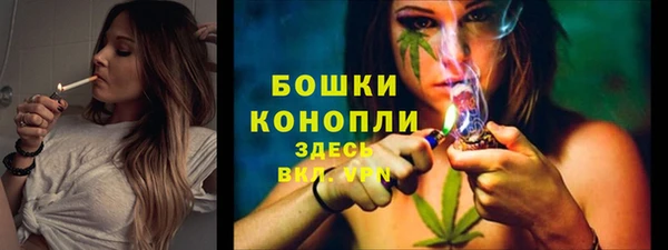 apvp Пестово