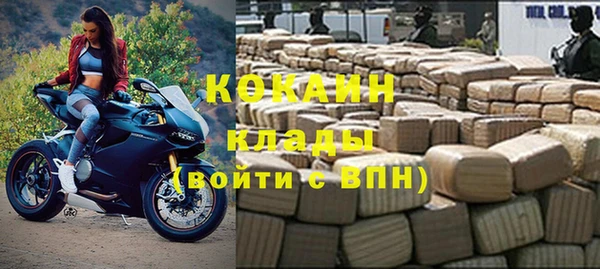 тгк Пересвет
