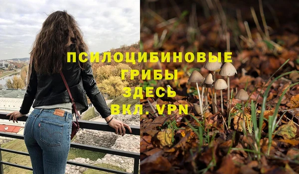 тгк Пересвет