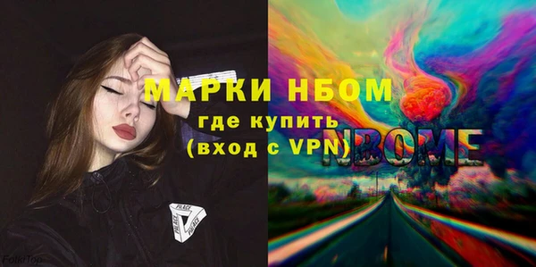 тгк Пересвет
