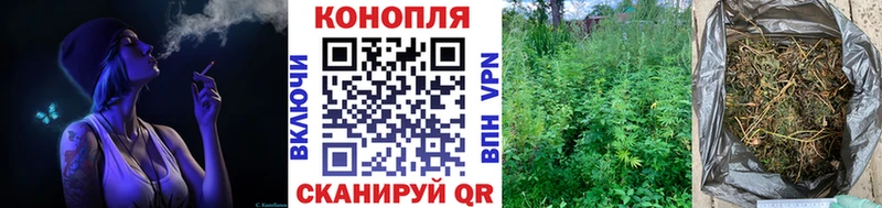 Конопля MAZAR  Купить где  Щучье 